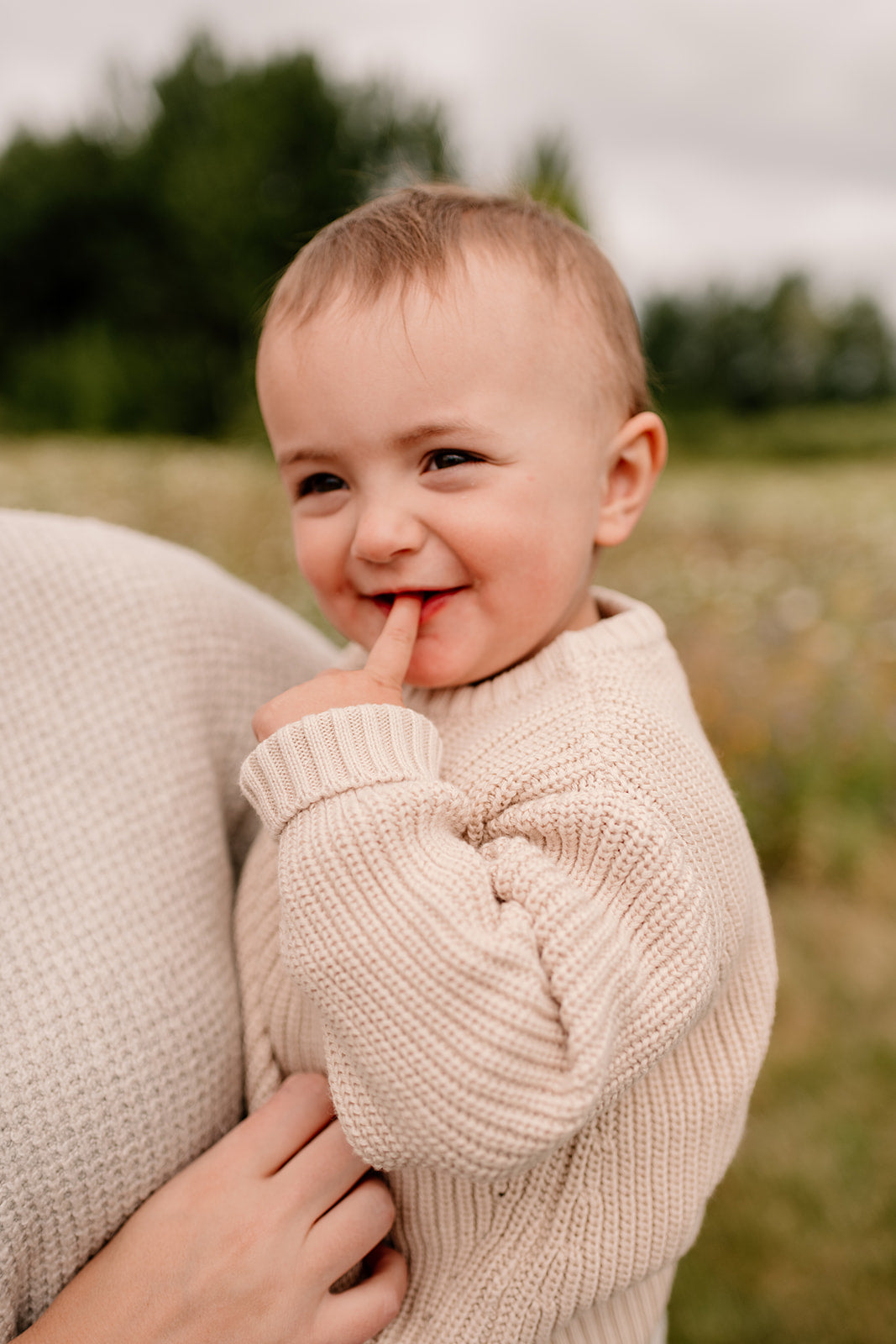 The Essential Sweater